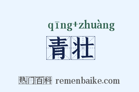 青壮是什么意思的图片